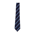 Bruntcliffe Academy House Tie - Simmonds (Blue)