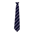 Bedale High School Wharfe House Tie  - Purple