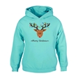Reindeer Fairy Lights Christmas Hoodie - Child