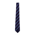 Langley Park Primary School Tie - Years 3-6